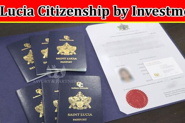 Complete Information About St Lucia Citizenship by Investment A Guide to Getting the Best Value