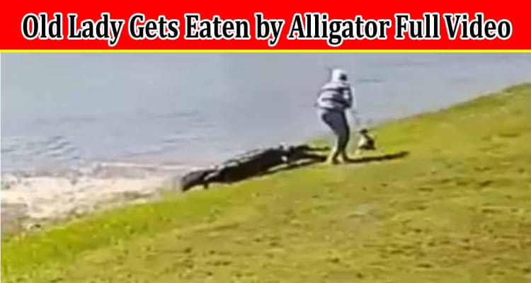 Latest News Old Lady Gets Eaten By Alligator Full Video