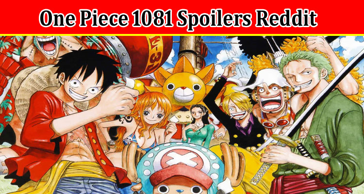 Latest News One Piece 1081 Spoilers Reddit