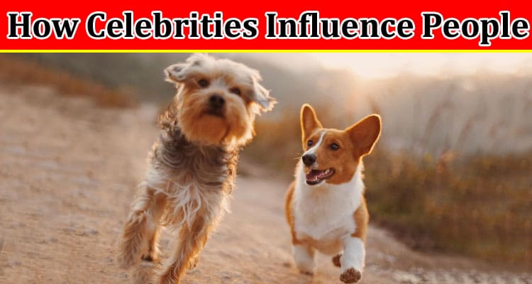 Complete Information About How Celebrities Influence People