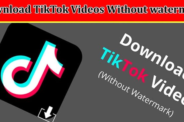 How to Download TikTok Videos Without watermark and Copyright Issues