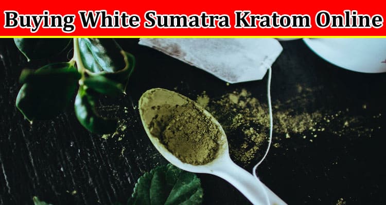 Complete Information About Buying White Sumatra Kratom Online