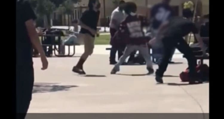 Latest News Chavez High School Fight Video