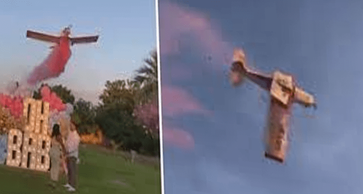 Latest News Gender Reveal Plane Crash Video
