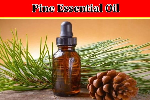 Pine Essential Oil as Emotional Support