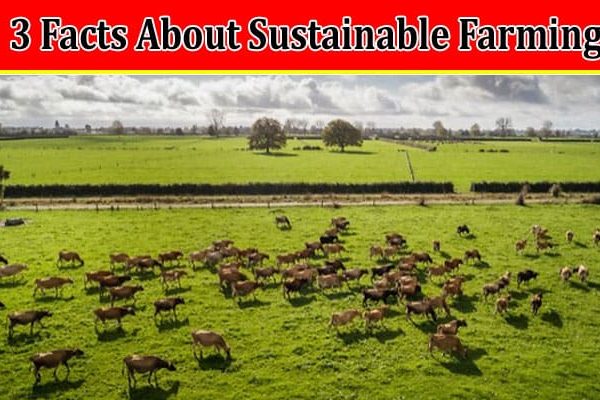 Top 3 Facts About Sustainable Farming