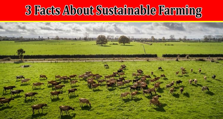 3 Facts About Sustainable Farming