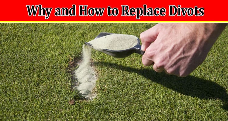 Complete Information Why and How to Replace Divots
