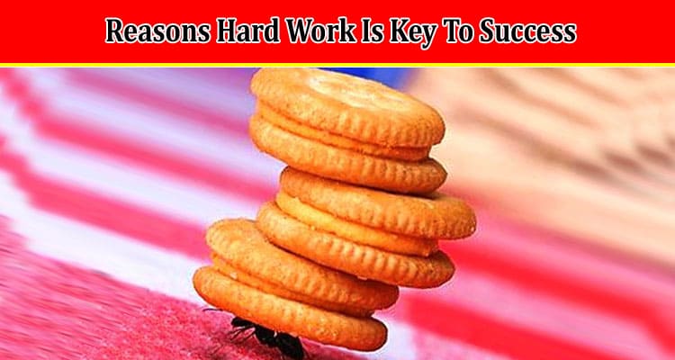 Top Reasons Hard Work Is Key To Success