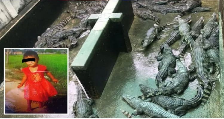 Latest News Baby Red Dress Alligator Video Incident On Reddit
