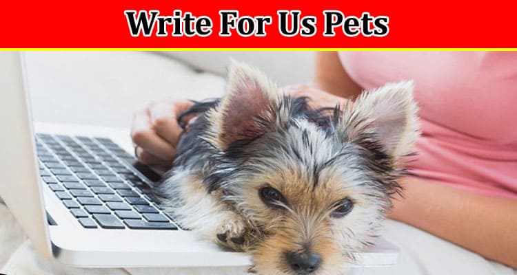 Write For Us Pets – Check Complete Guidelines Here!